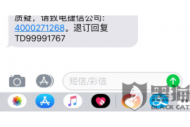 上门讨债不到钱：应对债务危机的五大策略